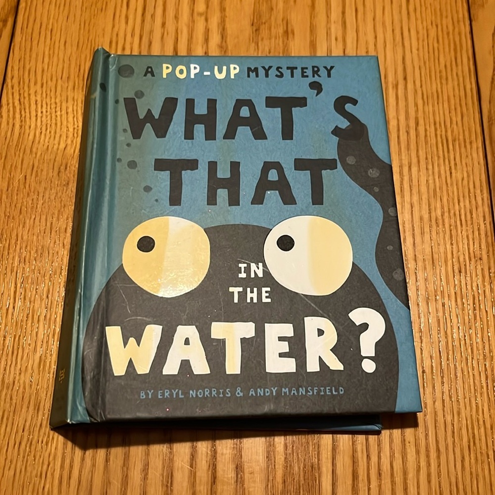 What’s That in the Water? by Eryl Norris & Andy Mansfield